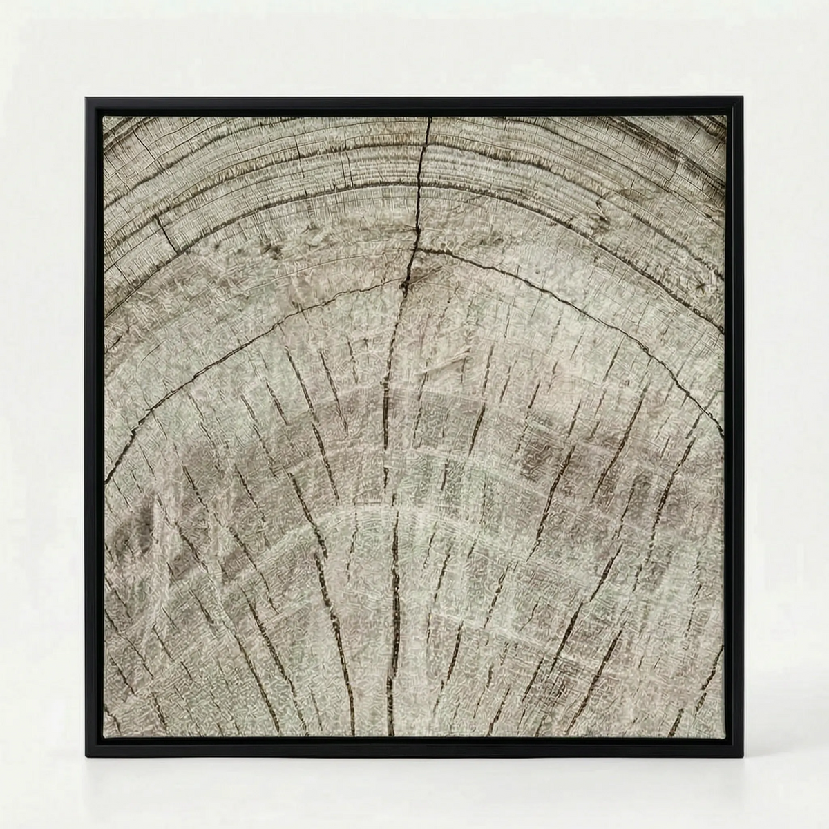 Arboria - Black And White Wall Art With Organic Pattern For Living Room