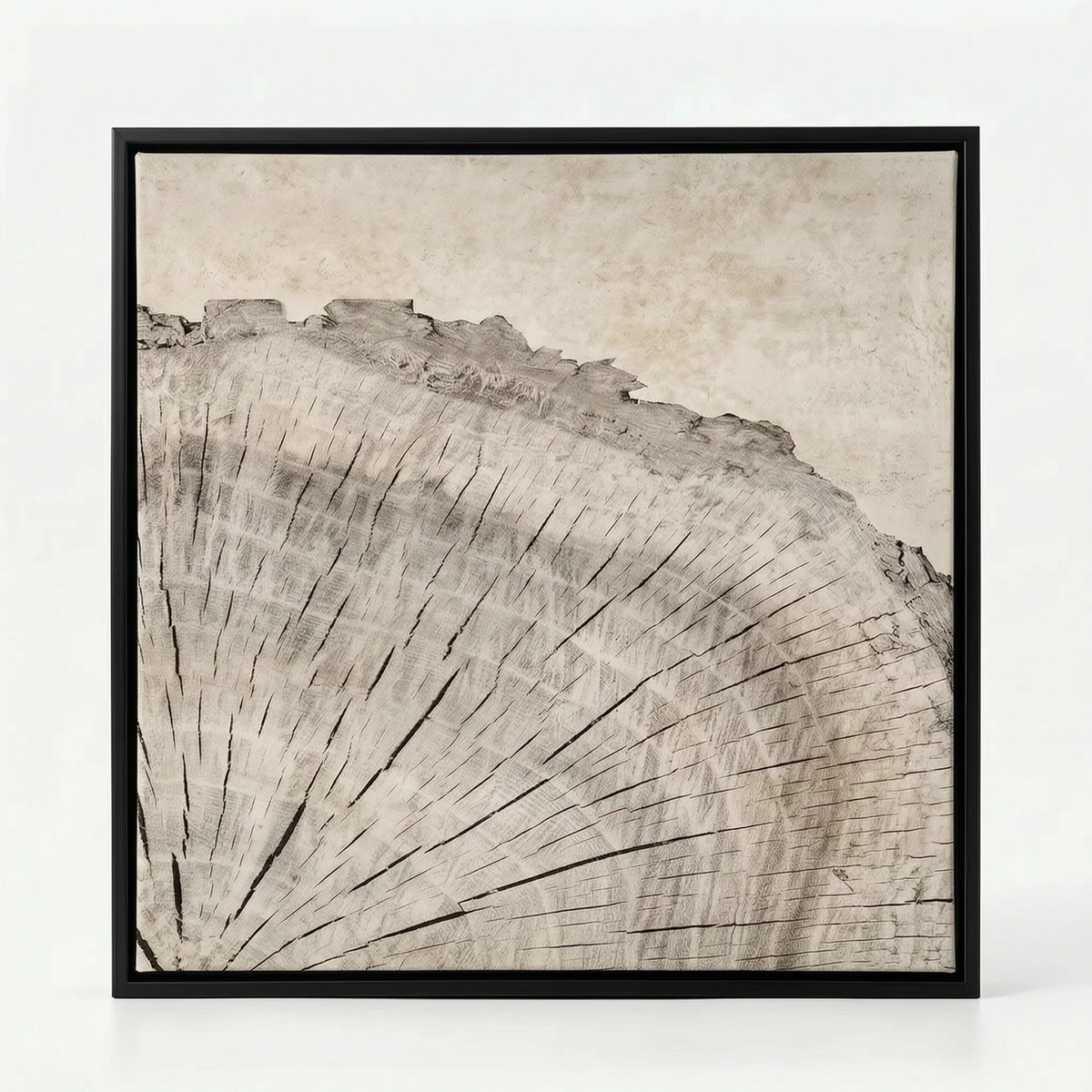 Arboria - Black And White Wall Art With Organic Pattern For Living Room