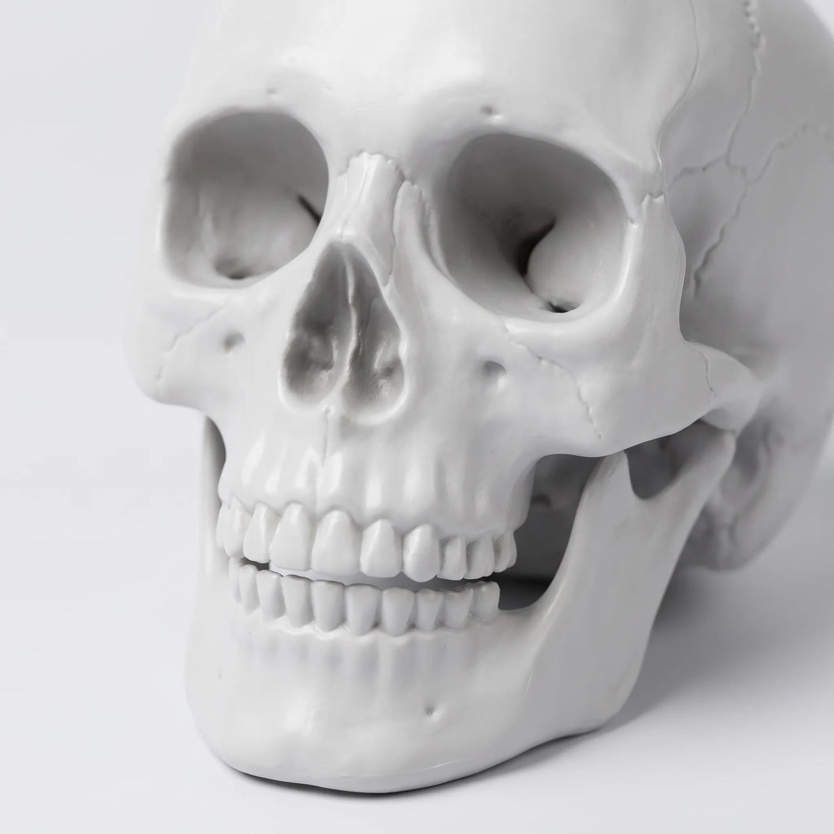 BoneCrafter  - Giant Halloween Skeleton Haunted House Decoration