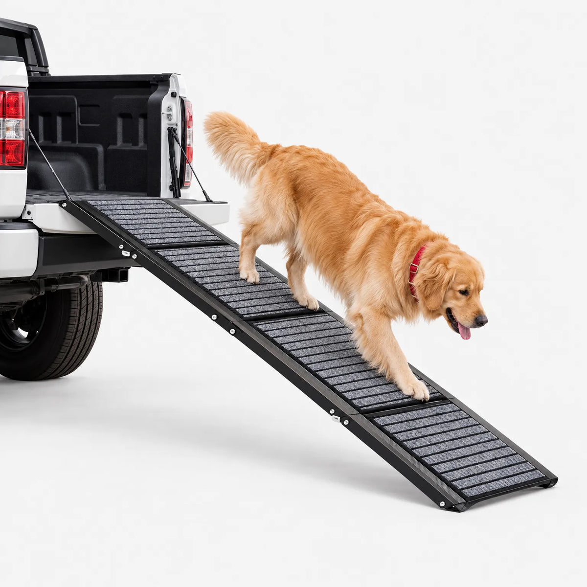 FoldRamp  - Folding Dog Car Ramp Entering Vehicles