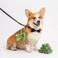 PawsClean  - Dog Waste Bags On A Roll Dog Walking Routines