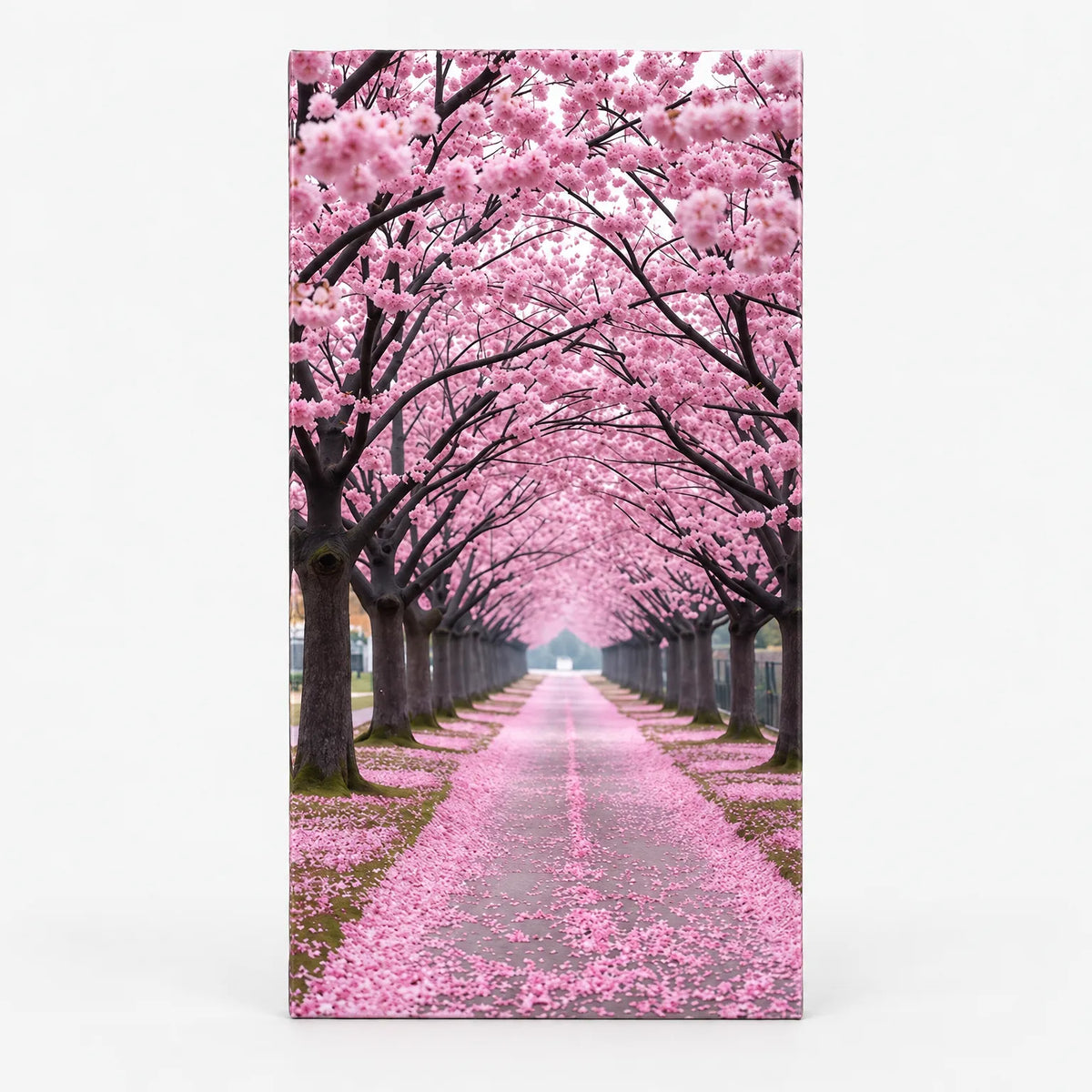 SakuraVisto  - Cherry Blossom Canvas Wall Art Hanging In Corridors