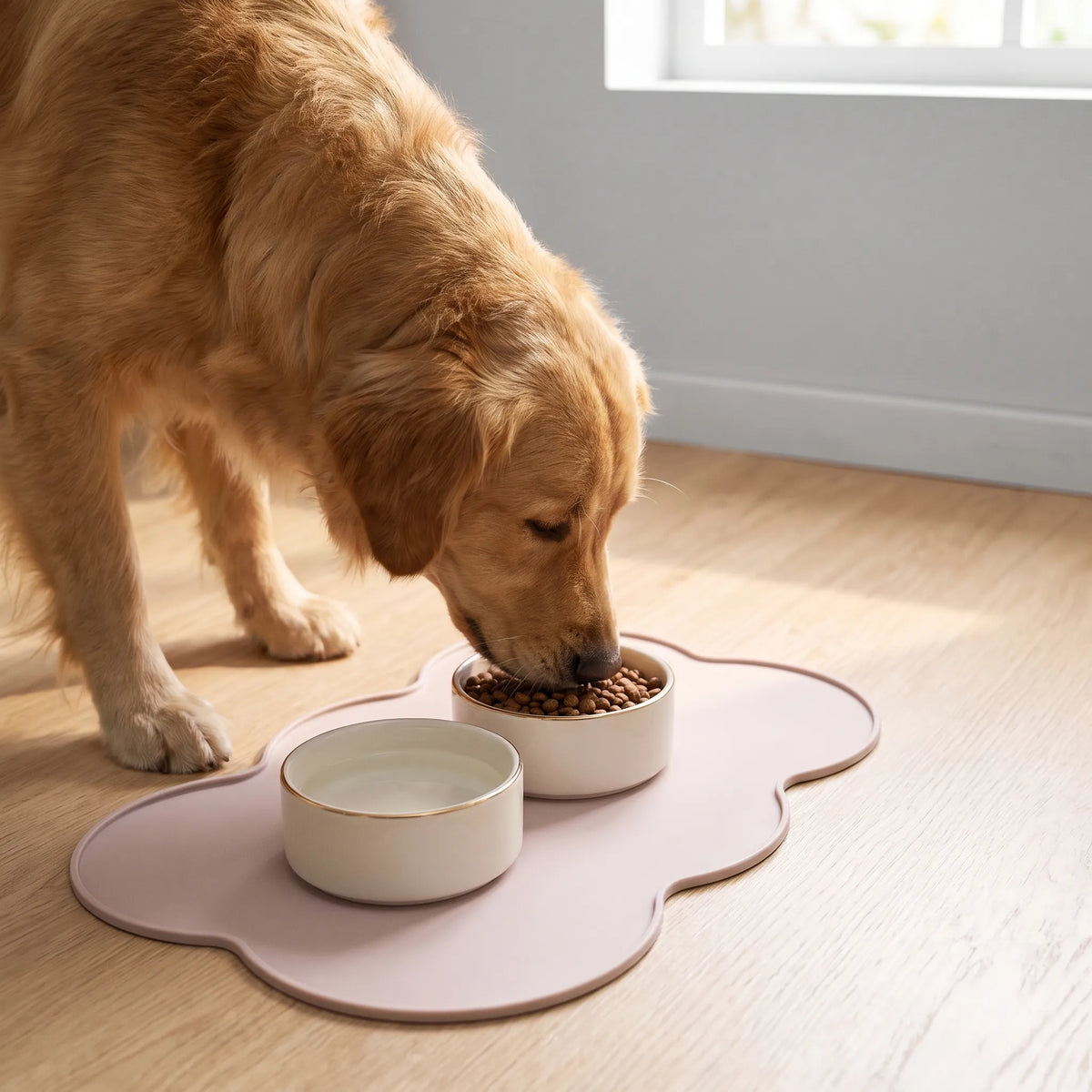 TidyPaws  - Cloud Shaped Pet Feeding Mat Catching Food Spills