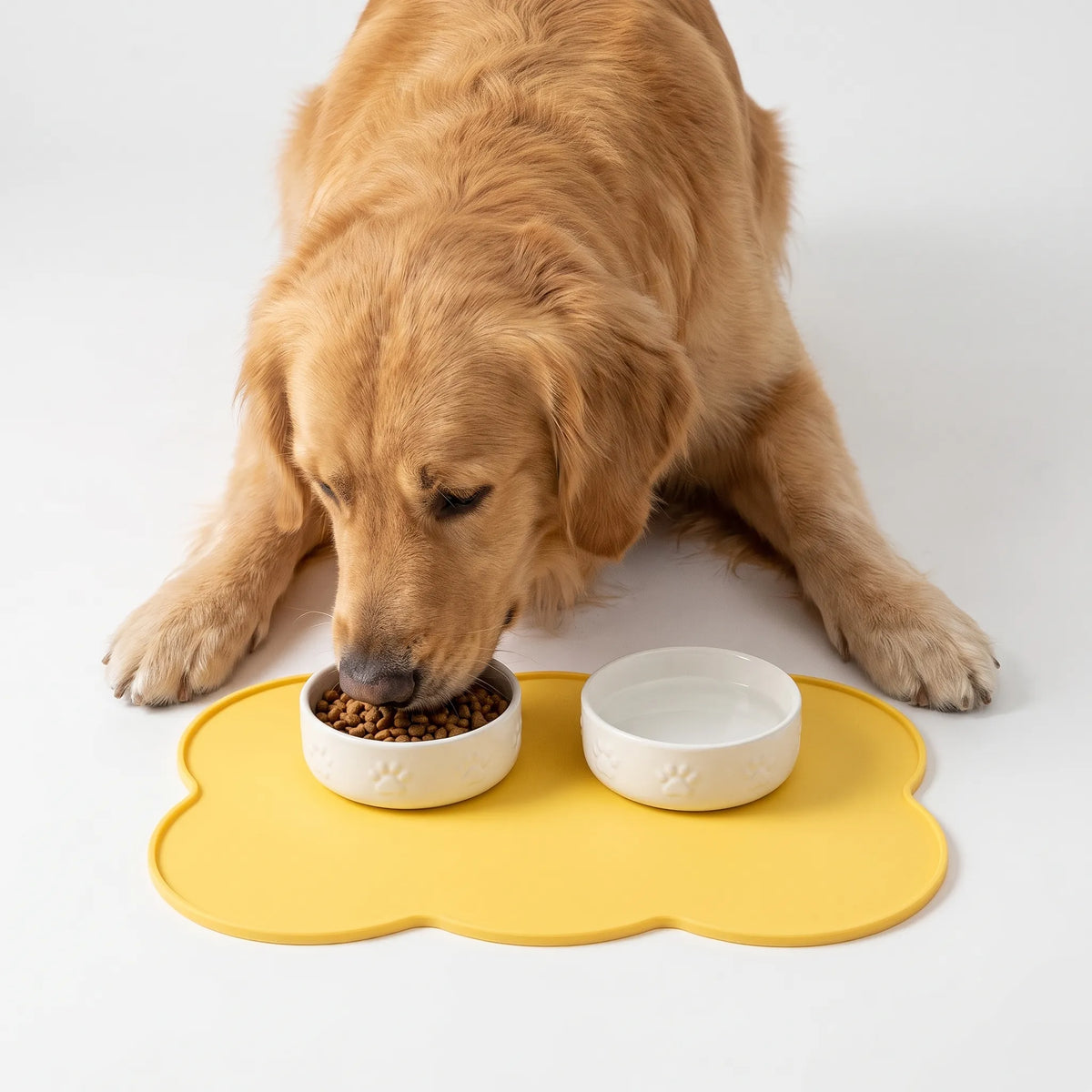 TidyPaws  - Cloud Shaped Pet Feeding Mat Catching Food Spills